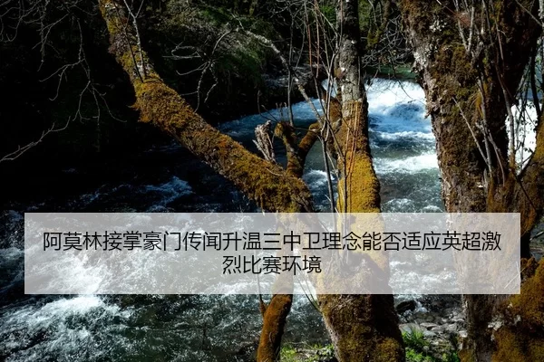 阿莫林接掌豪门传闻升温三中卫理念能否适应英超激烈比赛环境 | beats365