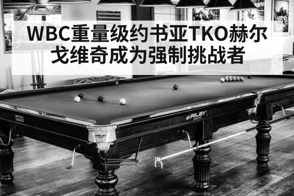 WBC重量级约书亚TKO赫尔戈维奇成为强制挑战者（beats365）