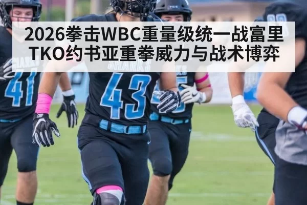 2026拳击WBC重量级统一战富里TKO约书亚重拳威力与战术博弈（beats365）